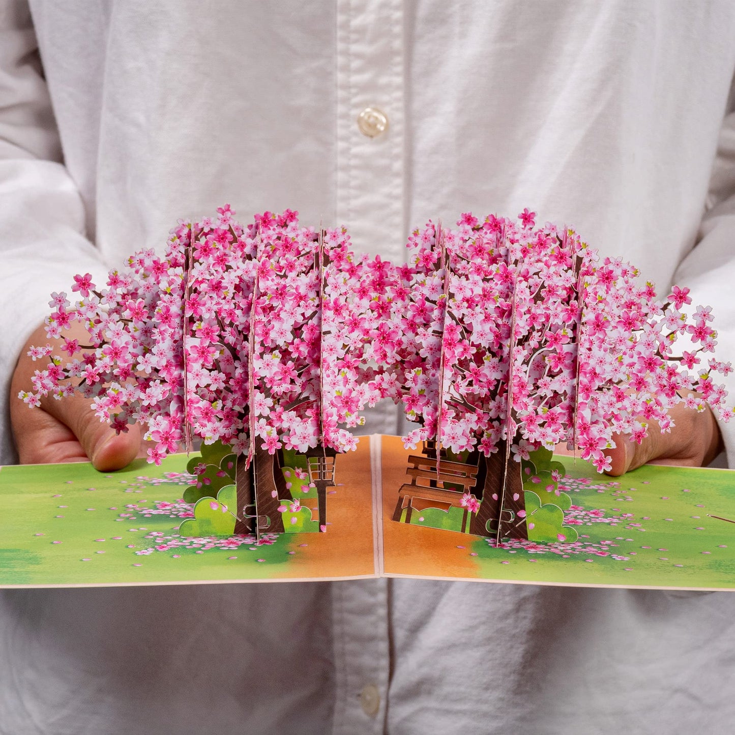 Paper Love Mothers Day Pop Up Card, 3D Cherry Blossom Park, Gift for Mothers Day, Birthday, Wedding, Anniversary, Thank You, Get Well, All Occasion - 5" x 7" Cover - Includes Envelope and Note Tag