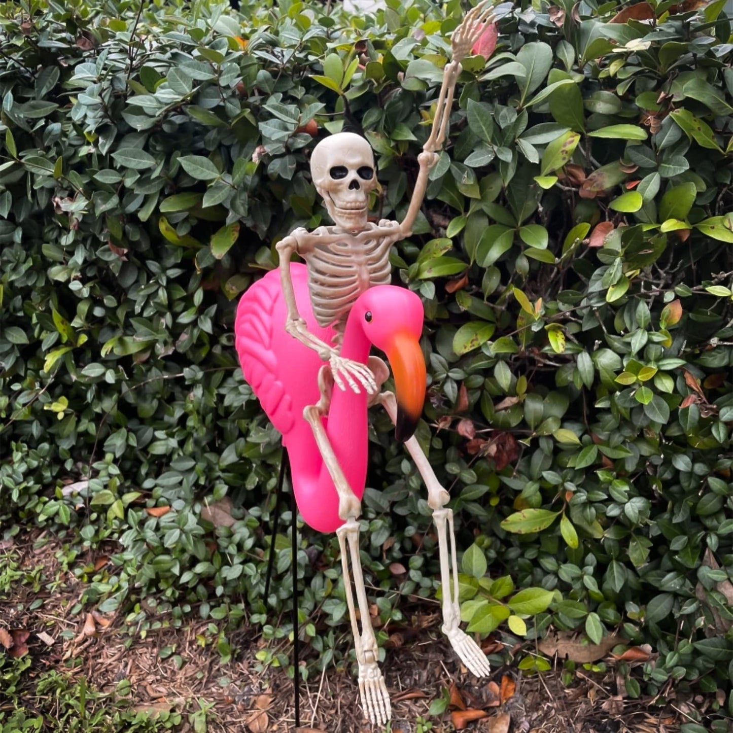 16" Small Skeleton Halloween Decor: Posable Hanging Halloween Skeleton Decorations Mini - Poseable Joints Skeleton Plastic Full Body for Indoor Outdoor, 2 Packs