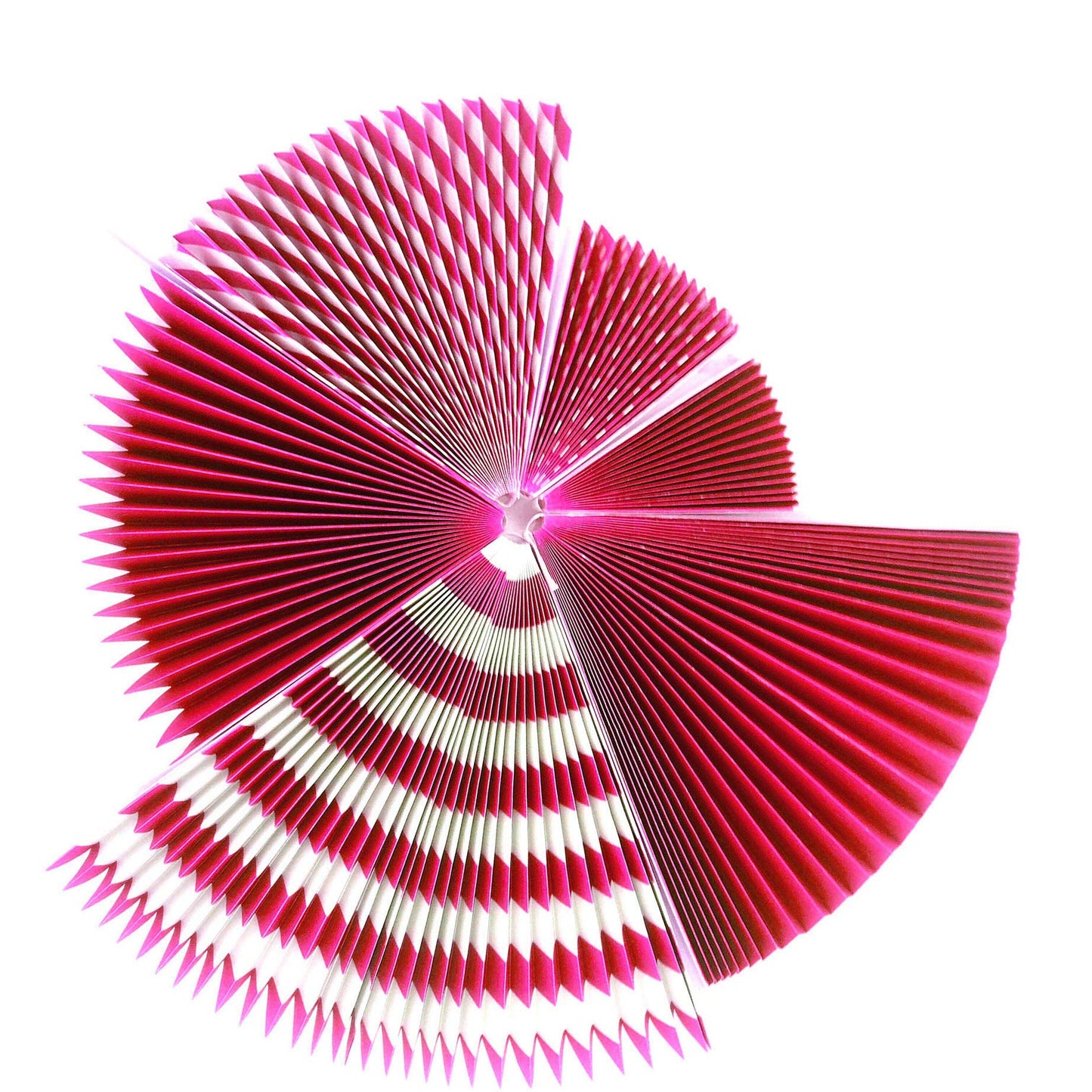 Hot Pink and Black Birthday Party Hanging Paper Fans Decorations - Women Girls Birthday Party Wedding Bridal Shower Bachelorette Carnival Party Ceiling Hangings Photo Booth Backdrops Decorations, 12pc