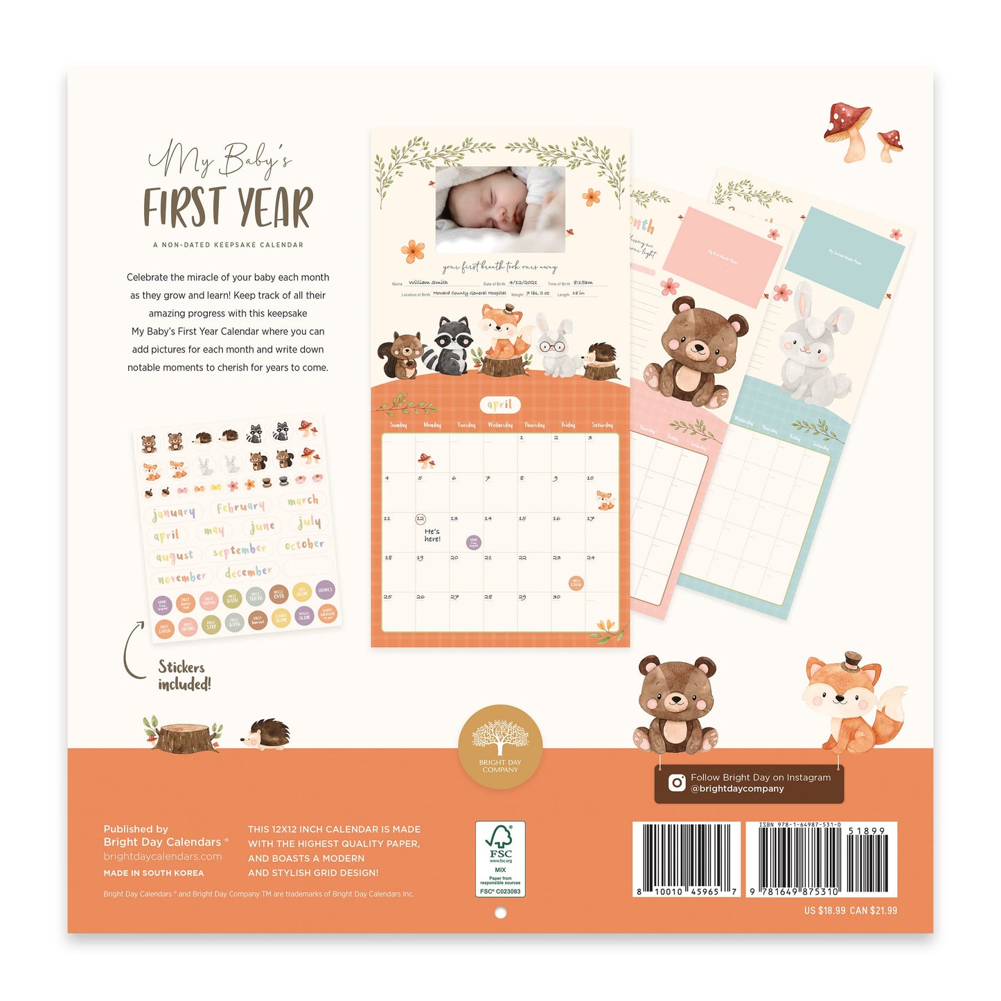 Baby's First Year Calendar by Bright Day - 1st Year Tracker - First Year Book - Journal Album to Capture Precious Moments - Milestone Keepsake for Baby Girl or Boy - Includes Stickers