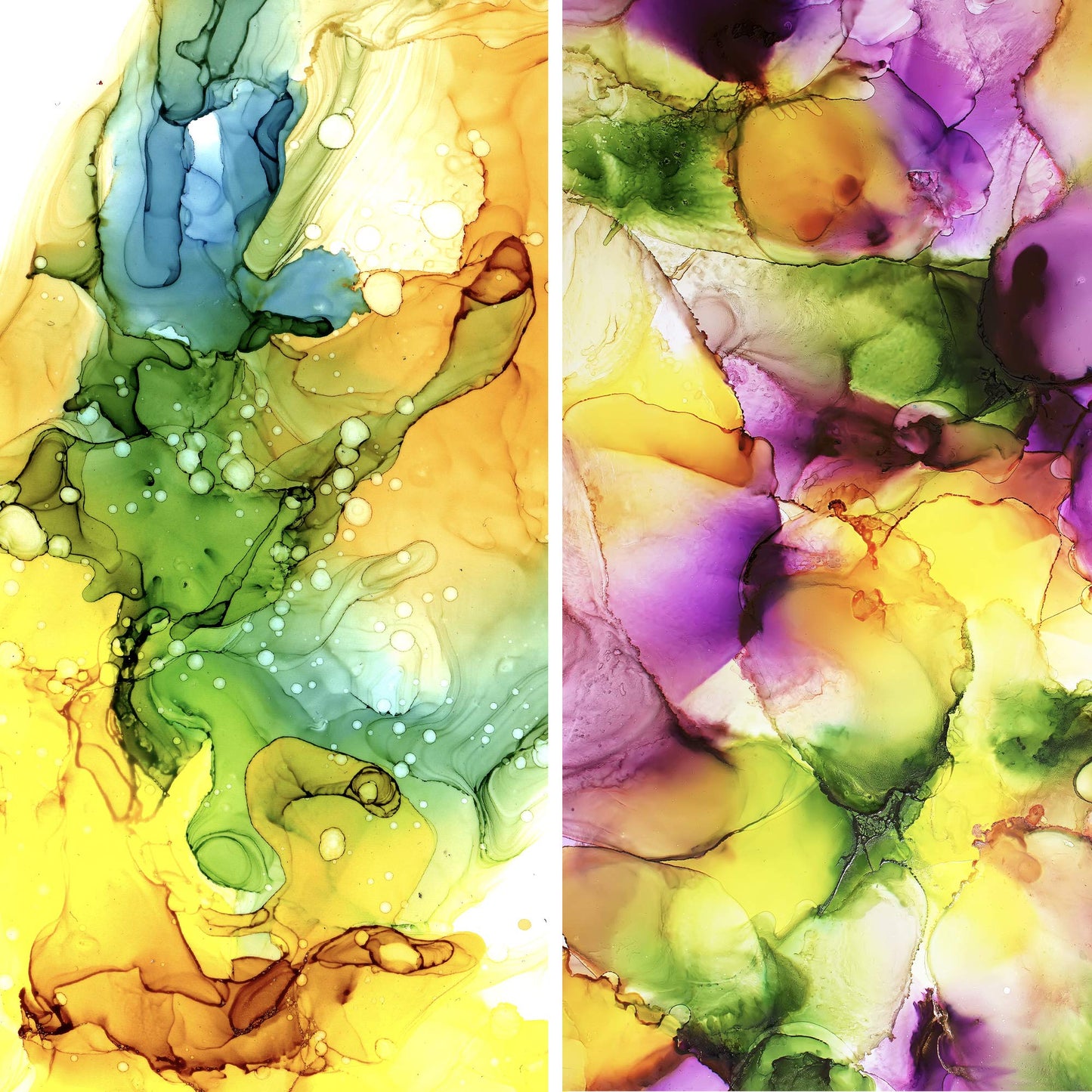 Alcohol Ink Set - Alcohol Ink for Epoxy Resin, Alcohol Ink Supplies, Tumbler Making Supplies, Resin Ink, Dye Inks 25 Large 0.5 Ounce Highly Saturated Colors