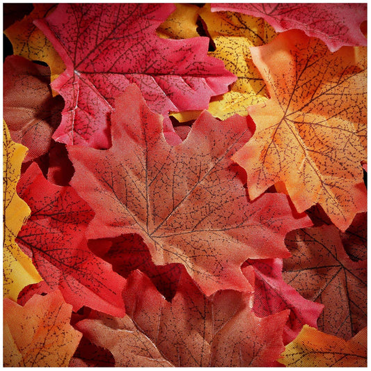 Whaline 300 Pieces Artificial Autumn Maple Leaves Mixed Fall Colored Leaf for Weddings, Events, Art Scrapbooking and Thanksgiving Day Decorations (Red)