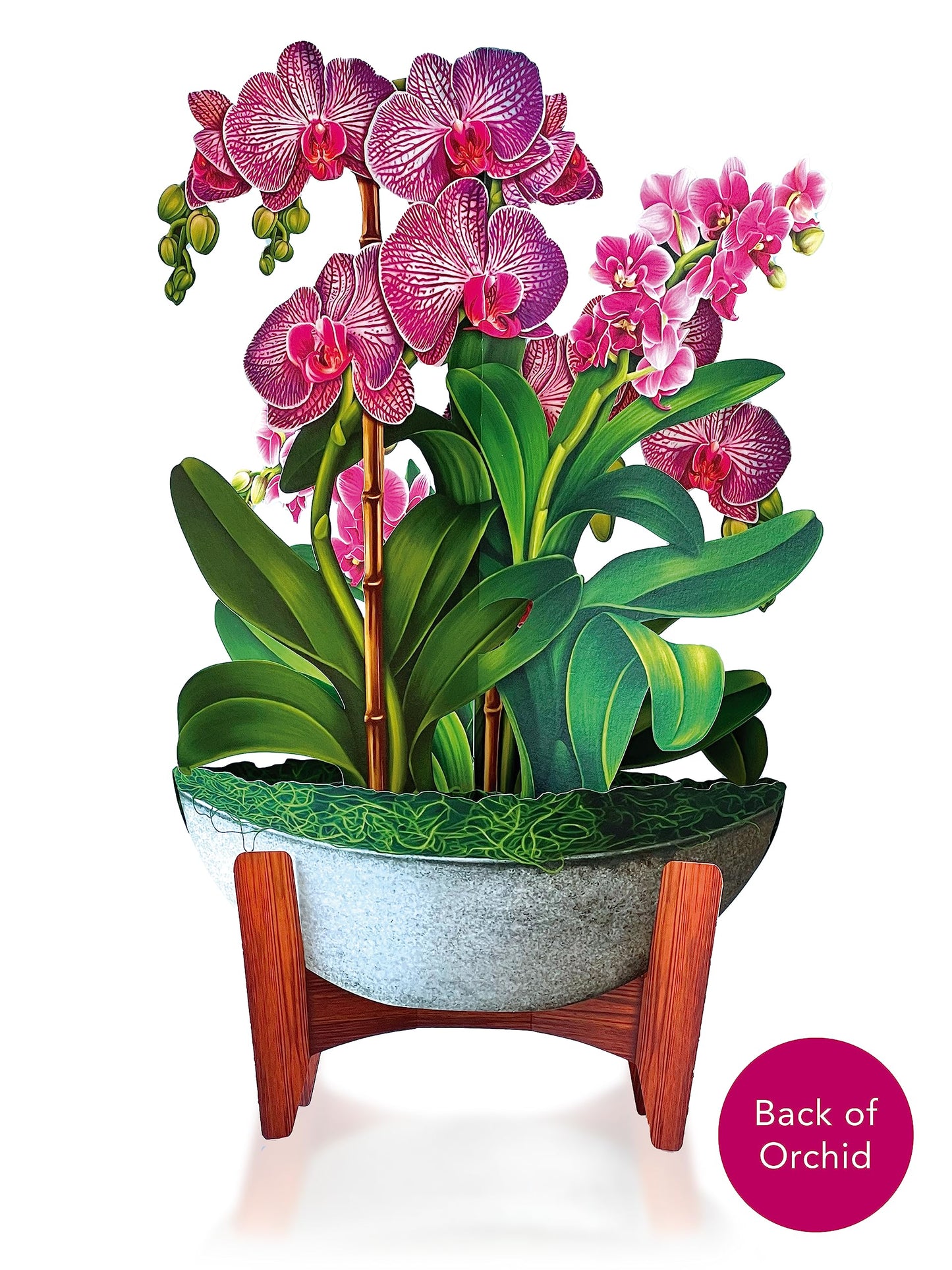 Freshcut Paper Pop Up Cards, Orchid Oasis, 12 Inch Life Sized Forever Flower Bouquet 3D Popup Greeting Card, Anniversary Card, Mother's Day, Blank Notecard & Envelope