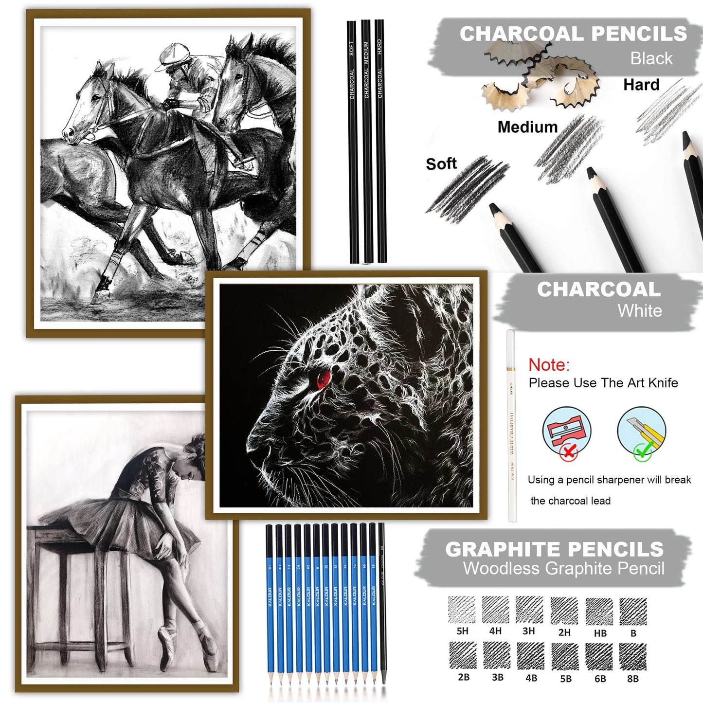33 Pro Drawing Kit Sketching Pencils Set,Portable Zippered Travel Case-Charcoal Pencils, Sketch Pencils, Charcoal Stick,Sharpener,Eraser.Art Supplies for Artists Beginner Adults Teens