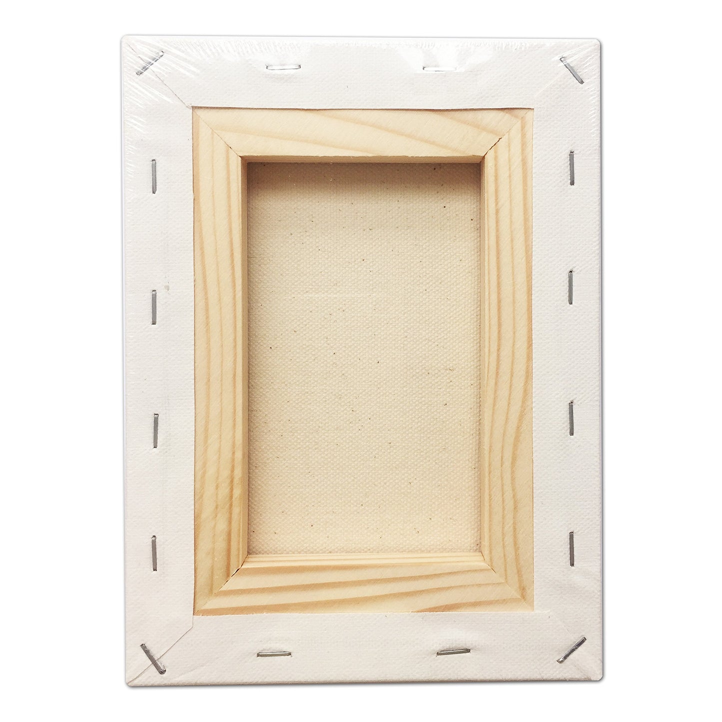 CRAFTS Stretched Canvas 6" X 8" Pack of 6