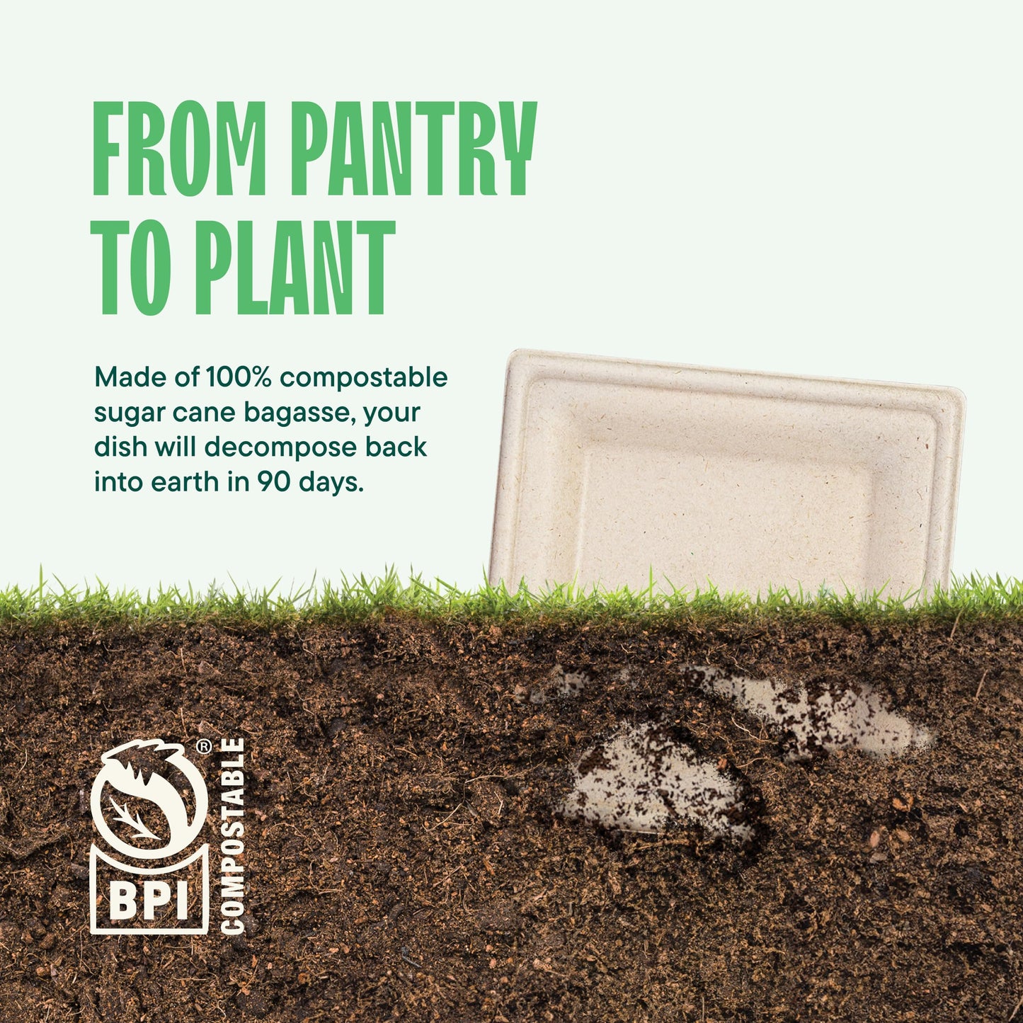 100% Compostable Square Paper Plates [50-Pack] - {PFAS-Free} - {BPI Certified} - [6 Inch] Heavy Duty, Eco-Friendly, Biodegradable Bagasse Dinner Plates - Natural Brown 6" Plate by Stack Man