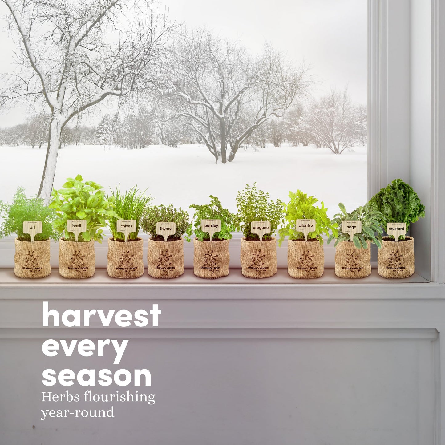 Planters' Choice 9 Herb Indoor Window Garden Kit - House Plants Seeds - Best Unique Easter Gift Ideas for Women, Mom, Friend, Her, Birthday, Housewarming, Mother - New Home Kitchen Gifts