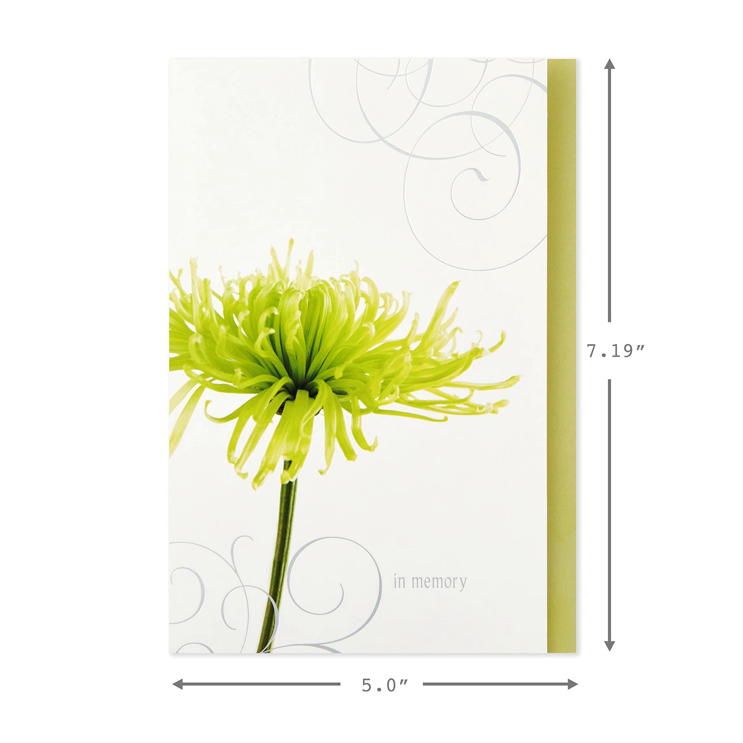 Assorted Sympathy Cards (Flowers, 12 Cards and Envelopes)