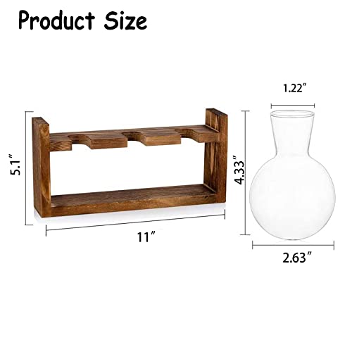 Kingbuy Plant Propagation Station Glass Terrarium Planter Flower Vase with Retro Solid Wooden Stand for Home Kitchen Indoor Garden Wedding Desktop Decor, 3 Bulb Vase