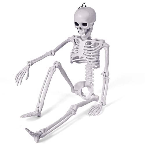 FUN LITTLE TOYS 24 Inches Halloween Posable Skeleton, Full Body Skeleton Movable Joints, Plastic Bones for Hanging Halloween Decorations
