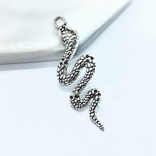 X Hot Popcorn 20 Pcs Alloy Snake Charms Mixed Smooth Metal Charms Pendants Accessory, DIY for Jewelry Making and Crafting(Silver)