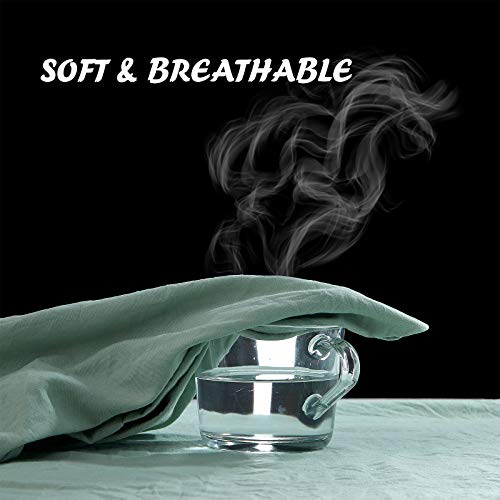 NexHome Light Green Duvet Cover Sets Queen Size 3 Piece Double Brushed Microfiber Queen Duvet Cover with Button Closure & Corner Tie 1 Breathable and Soft Duvet Cover 90x90 inches + 2 Pillow Shams