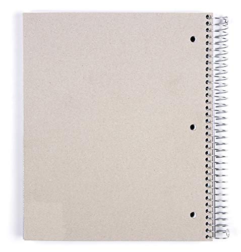 Mintra Office Durable Spiral Notebooks, 5 Subject, (Teal, College Ruled) 1 Pack, 200 Sheets,Poly Pockets, Moisture Resistant Cover, School, Office, Business, Professional