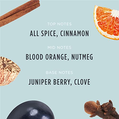 Santa's Naturals Winterberry Christmas Candle | Warm Cider Fragrance | Notes of Cinnamon, Orange, and Clove | Sustainably Sourced Soy and Beeswax | 30 Hour Burn Time | 9oz | 2 Pack