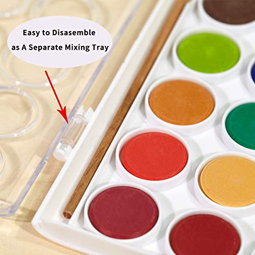 TBC The Best Crafts Watercolor Paint Set 36 Vibrant Water Color With 3 Individual Paint Pallet Non Toxic Washable Kids Paint Portable Painting Supplies for Beginners Artists
