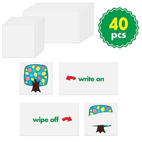Calendar and Weather Pocket Chart with 148 Cards,(108 Illustrated Activity Cards, 40 Dry Erasable Flash Cards and 3 Hooks 28"x35.5")