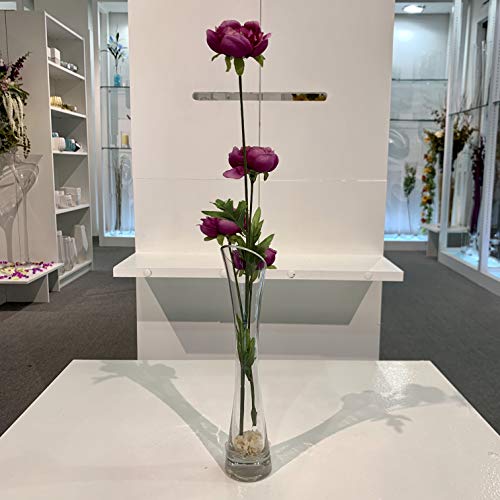 WGV Maria Bud Vase, Width 3", Height 15.75", Clear Tall Slant Cut Opening Gathering Concaved Glass Floral Container Centerpiece for Wedding Party Event Home Office Decor, 1 Piece