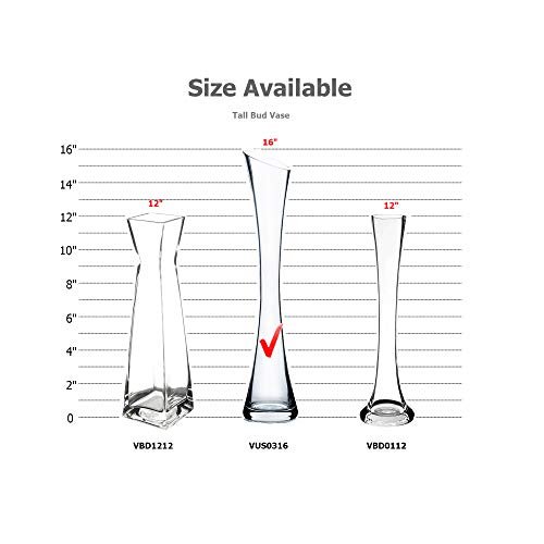 WGV Maria Bud Vase, Width 3", Height 15.75", Clear Tall Slant Cut Opening Gathering Concaved Glass Floral Container Centerpiece for Wedding Party Event Home Office Decor, 1 Piece