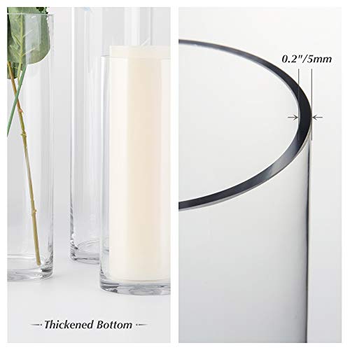 WGVI Cylinder Vase, 4" W x 10" H, Floral Container, Flower Vases, Glass Candle Holder Centerpiece Planter Terrarium for Wedding Party, Home Accent Decor, Clear, 1 Piece