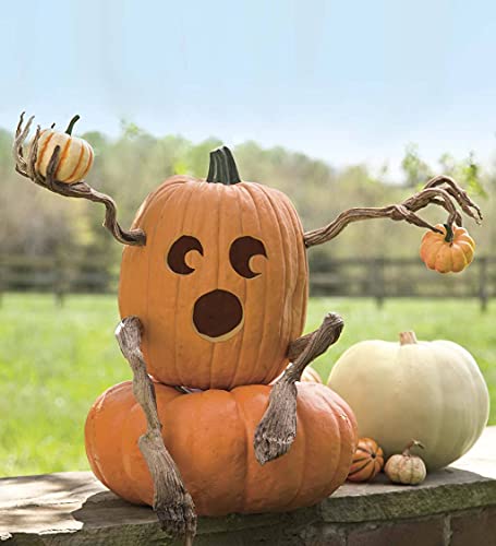 Plow & Hearth Set of 4 Bendable Pumpkin Arms and Legs | Create Whimsical Halloween Decor | Spooky Vine Design | Includes 2 arms and 2 Legs