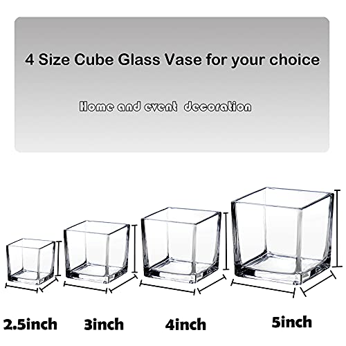 plant Square Glass Vase Clear Flower Decorative Centerpiece for Home or Wedding, Candle Holder, 5 x 5, Set of 2