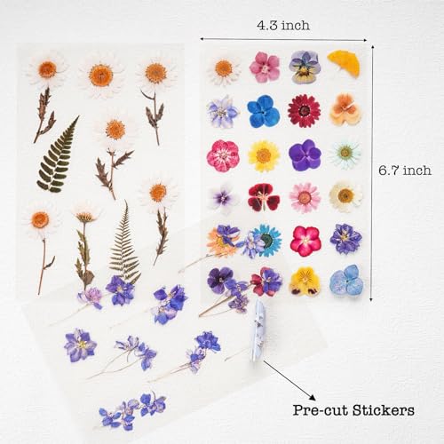 Knaid Pressed Flower Themed Stickers (Assorted 486 Pieces, 36 Sheets) Dried Floral Resin Stickers Decals Botanical Journaling Sticker for Scrapbook Supplies Junk Journal Bullet Journal Planner Laptop