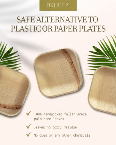 brheez Bamboo Plates made from Palm Leaf - 25 Party Plates - 4 Inch - Eco Friendly Compostable & Biodegradable – Bamboo Disposable Plates Heavy Duty are More Environmentally Friendly than Paper Plates