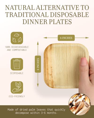 brheez Bamboo Plates made from Palm Leaf - 25 Party Plates - 4 Inch - Eco Friendly Compostable & Biodegradable – Bamboo Disposable Plates Heavy Duty are More Environmentally Friendly than Paper Plates