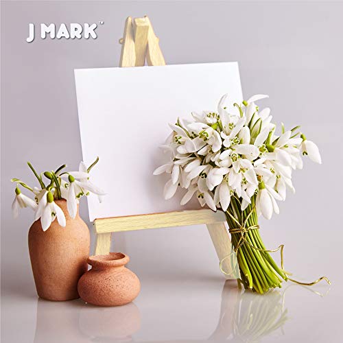 J MARK Painting Kit Includes Acrylic Paint Set, 8 x 10 in. Canvases, Brushes, Palette and More