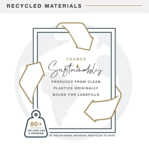 MCS Trendsetter Poster Frame, Black, 16 x 24 in, Single