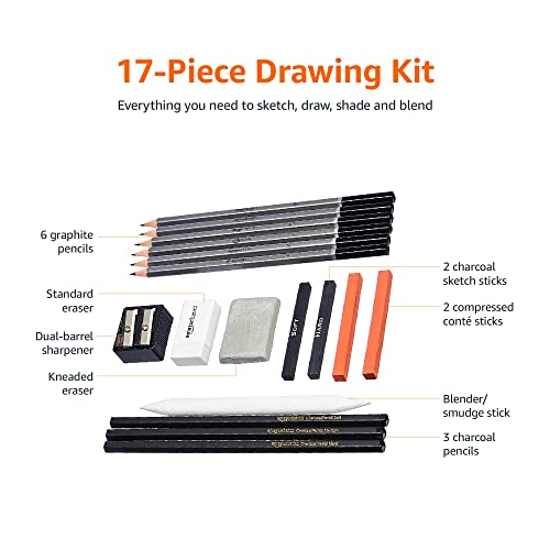 Amazon Basics Sketch and Drawing Art Pencil Kit, 17 Piece Set, Charcoal, Black, White