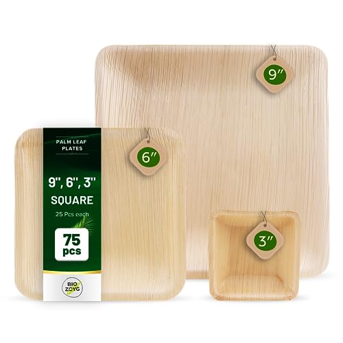 BIOZOYG | 9 inch & 6 inch & 3 inch Square Combo Plates 75 pcs | Disposable Plates | Like Bamboo plates | Palm leaf Plates for Dinner | Compostable Plates | Picnic Party Plates better than Paper Plates