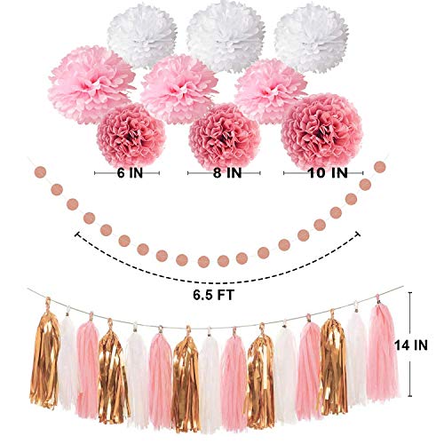 OuMuaMua Pink Rose Gold Birthday Party Decorations Set, Rose Gold Glittery Happy Birthday banner, Tissue Paper Pom, Circle Dots Garland and Tassel Garland for Birthday Party Decorations