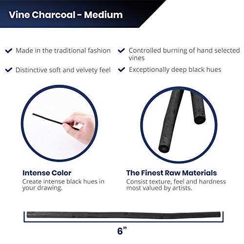 Pacific Arc Artist Vine Charcoal, Medium, Black 4 Charcoal Sticks for Drawing, Sketching, and Fine Art