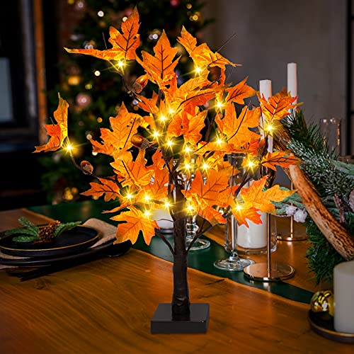 24-inch Fall Lighted Maple Tree with Acorns, 24 LED Lights, Battery Operated Thanksgiving Table Centerpieces Decoration Artificial Tree for Home Desktop Fireplace Autumn Harvest Tabletop Indoor Decor
