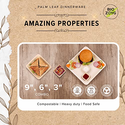 BIOZOYG | 9 inch & 6 inch & 3 inch Square Combo Plates 75 pcs | Disposable Plates | Like Bamboo plates | Palm leaf Plates for Dinner | Compostable Plates | Picnic Party Plates better than Paper Plates