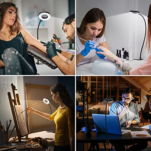 iZELL Desk Lamp, [3 Color Modes & 10 Brightness] LED Reading Light with Clamp, Flexible Gooseneck Book Light for Kids Reading Book in Bed at Night Clip on Table, Headboard, Dorm - 15.8‘’ Black