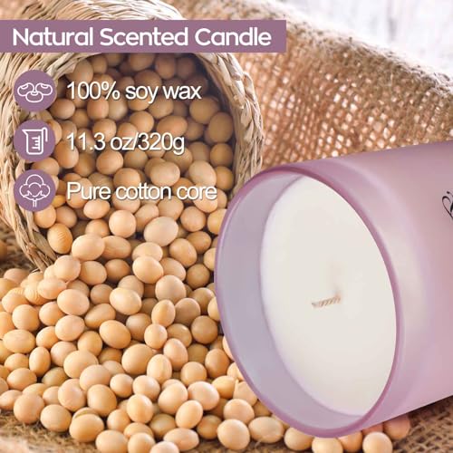 BXGRH Lavender Candles for Home, Candles for Home Scented, Candles Gifts for Women, 11.3 oz Soy Candles, Up to 70 Hours Burn, Stress Relief Gifts for Women, Birthday, Mother's Day, Christmas Gift