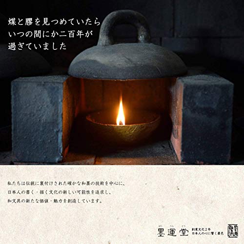 Boku-Undo E-Sumi Watercolor Paint 6 Colors Set from Japan (Standard)