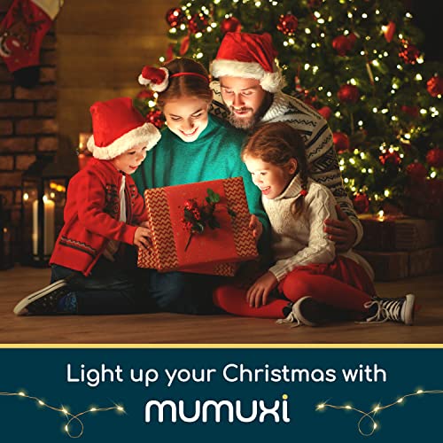 MUMUXI LED Fairy Lights Battery Operated String Lights [20 Pack], 3.3ft 20 Mini Fairy Lights Battery Powered Party Wedding Centerpiece Decorations Crafts Mason Jar Lights Firefly Lights, Warm White