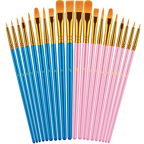 Paint Brushes Set, 20 Pcs Paint Brushes for Acrylic Painting, Oil Watercolor Acrylic Paint Brush, Artist Paintbrushes for Body Face Rock Canvas, Kids Adult Drawing Arts Crafts Supplies, Blue+Pink