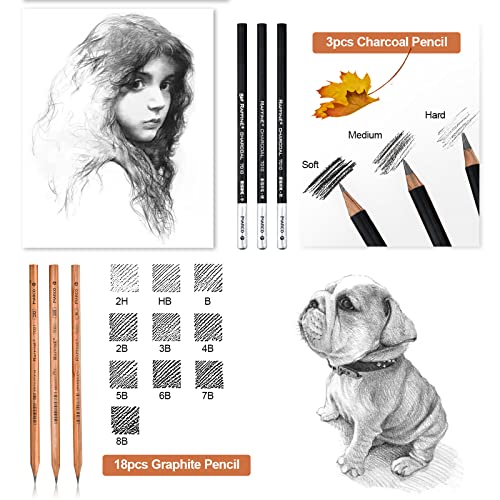 YunQiDeer Drawing Pencils, Art Supplies Sketch Pencils Kit for Kids Adults, Professional Charcoal Sketching Graphite Art Pencils Set