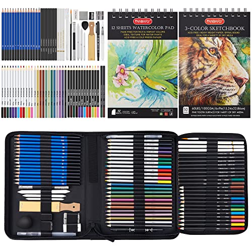 PANDAFLY 80 Pack Drawing Set Sketching Kit, Pro Art Supplies with 3-Color Sketchbook, Watercolor Pad, Colored, Graphite, Charcoal, Metallic Pencil, for Artist Adults Kids Beginner