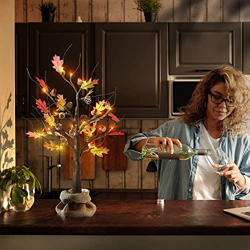 Monsense 24 Inch Artificial Fall Oak Maple Tree, Lighted Fall Decorations for Home, Fall Centerpieces for Tables, Perfect for Thanksgiving, Autumn, Wedding and Halloween Decor