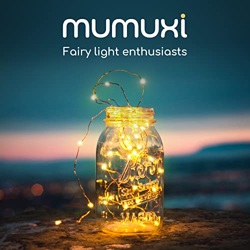 MUMUXI LED Fairy Lights Battery Operated String Lights [20 Pack], 3.3ft 20 Mini Fairy Lights Battery Powered Party Wedding Centerpiece Decorations Crafts Mason Jar Lights Firefly Lights, Warm White