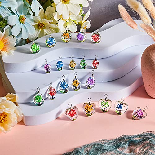 Hicarer Dried Flower Pendant Dried Flower Tree Charms Resin Dried Pressed Flower Pendant Lacework Transparent Glass Ball Beads Round Floating Pendant Mixed Colors for Making Jewelry DIY Craft (20)
