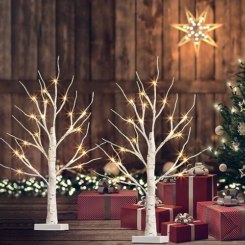 PEIDUO Christmas Decorations, 2FT Birch Tree with LED Lights, Warm White Light up Tree Lamp, Fairy Light Spirit Tree for Xmas Indoor Home Table Fireplace Decor, Battery Powered, 6H/18H Timer (2PK)