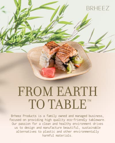 brheez Bamboo Plates made from Palm Leaf - 25 Party Plates - 4 Inch - Eco Friendly Compostable & Biodegradable – Bamboo Disposable Plates Heavy Duty are More Environmentally Friendly than Paper Plates