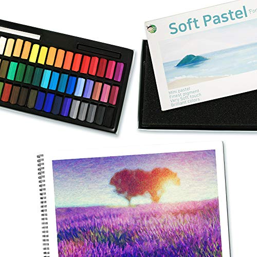 HA SHI Soft Chalk Pastels, 48 colors + 2pcs Non Toxic Art Supplies, Drawing Media for Artist Stick Pastel for Professional, Kids, Beauty Nail Art, Pan Chalk Pastel