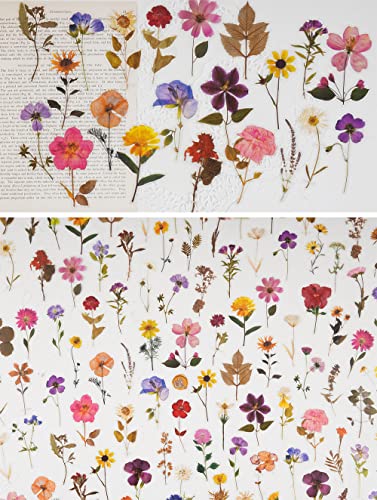 Knaid Pressed Flower Themed Stickers Set (320 Pieces) Dried Flowers Resin Stickers Decals Floral Botanical Journaling Stickers for Scrapbook Supplies Junk Journal Bullet Journal Planner Laptops